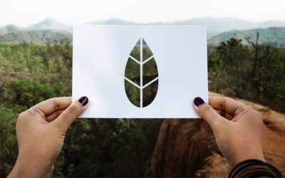 Mente pura, mente ecologica